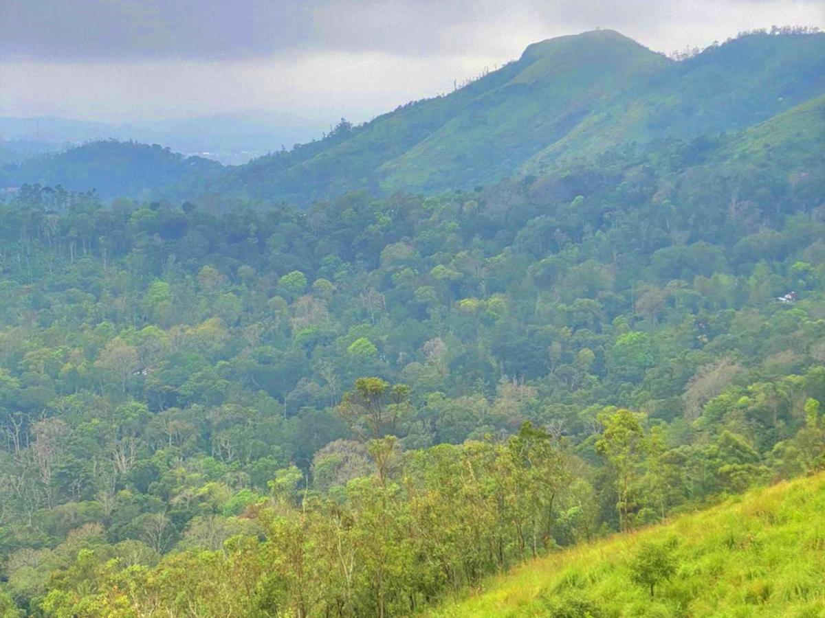 The Windy Mist Resort Munnar Chinnakanal Exterior photo